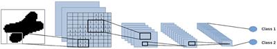 Efficient Detection of Longitudinal Bacteria Fission Using Transfer Learning in Deep Neural Networks